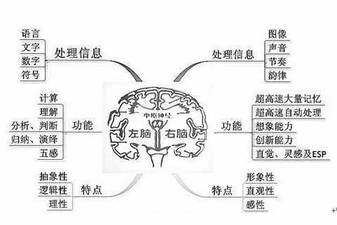 如何拥有惊人的记忆力？掌握这四个方法，半个月就会了