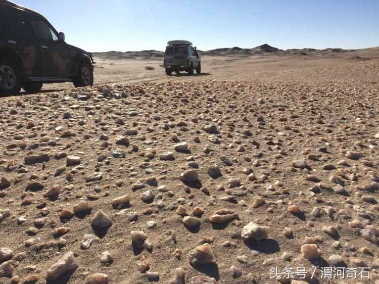 大漠自由人的沙漠戈壁捡石攻略