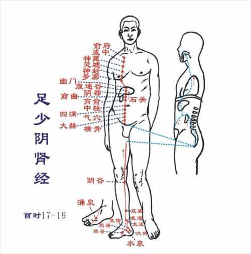 最全的十二经络养生法，附经络走向高清图，很珍贵，收藏一下！