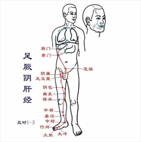 最全的十二经络养生法，附经络走向高清图，很珍贵，收藏一下！