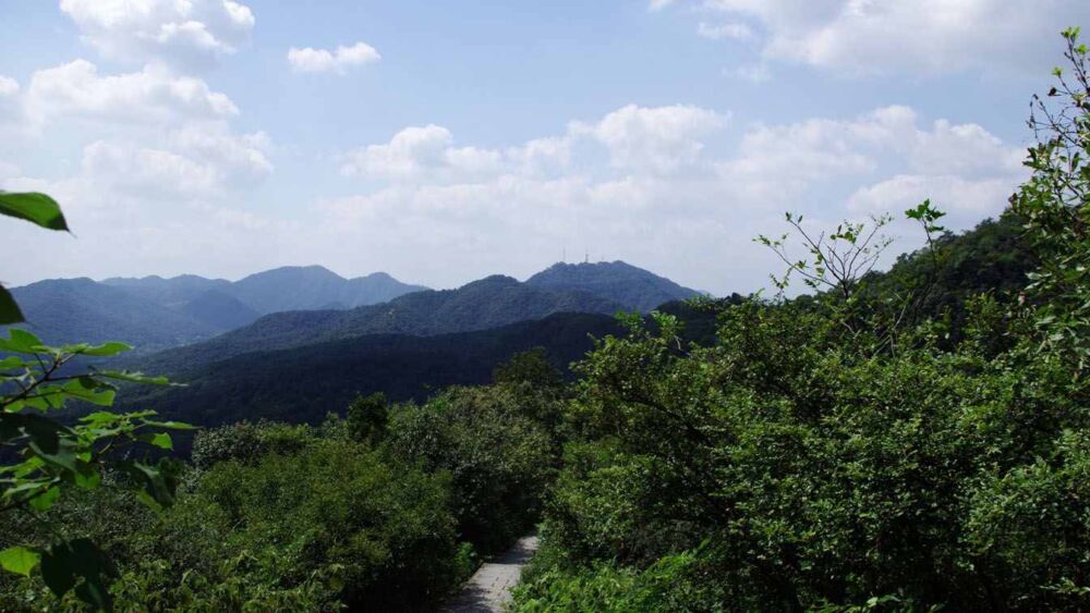 轻采山色——探路16.3公里杭州西山游步道