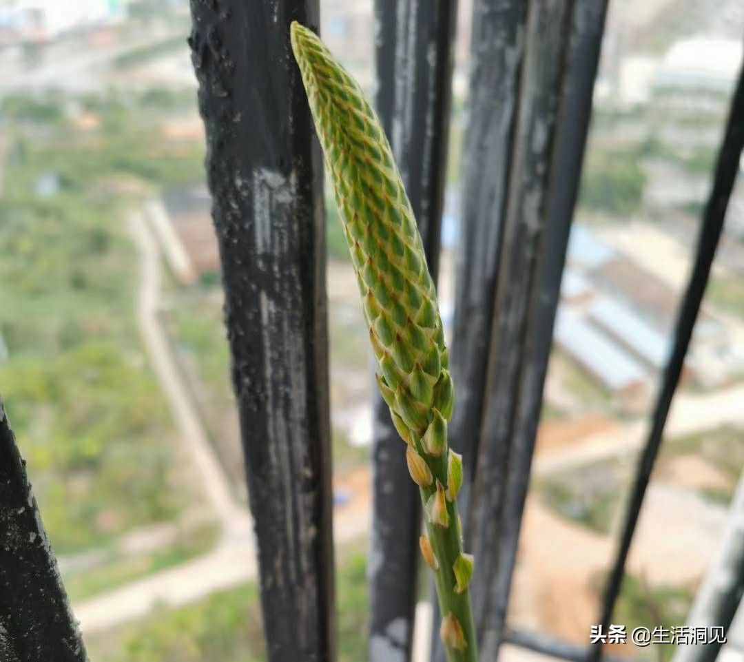 人到中年，吾日三省吾身，人生的道路将越走越顺！