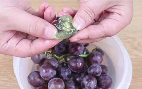 葡萄籽是个“宝”，不仅可以吃，在生活中还有很多的妙用哦！
