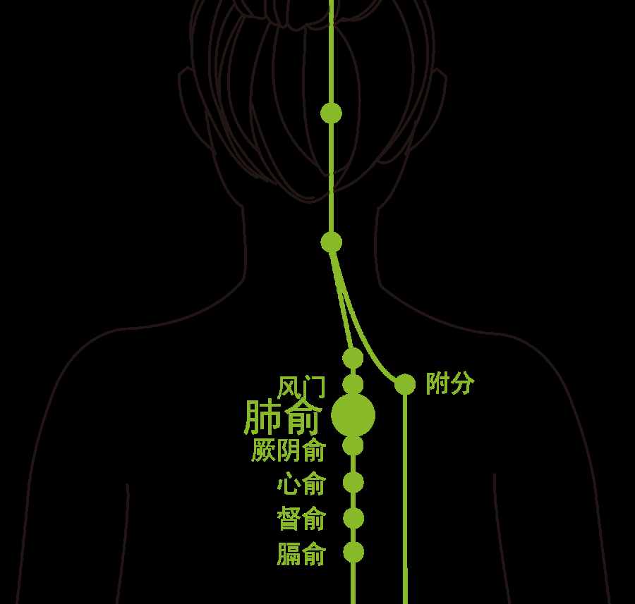 三九灸马上到！你不可错过的黄金艾灸时间