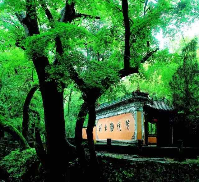 你们要的天台山旅游路线来了！两天一夜，交通景点，统统收好！