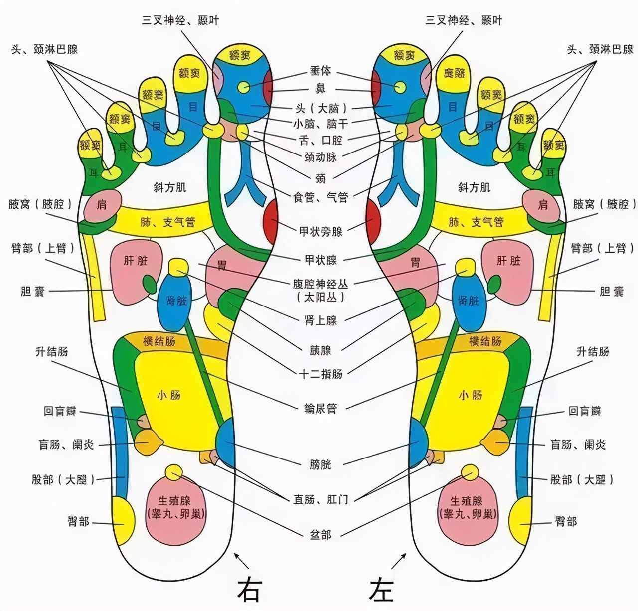 这件东西你天天都在穿，却从来没意识到它的危害有多大