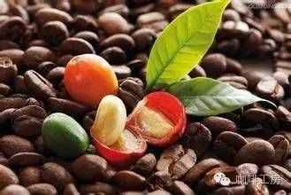 咖啡常识咖啡生豆的五大处理方式，及咖啡生豆的保鲜期是多久？