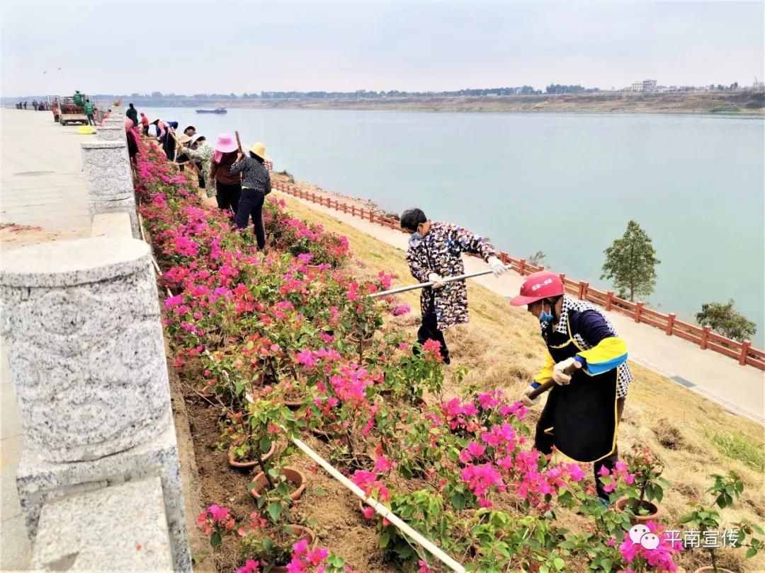 让我们一起为这座城市打Call——平南县首创首成自治区文明城市纪实