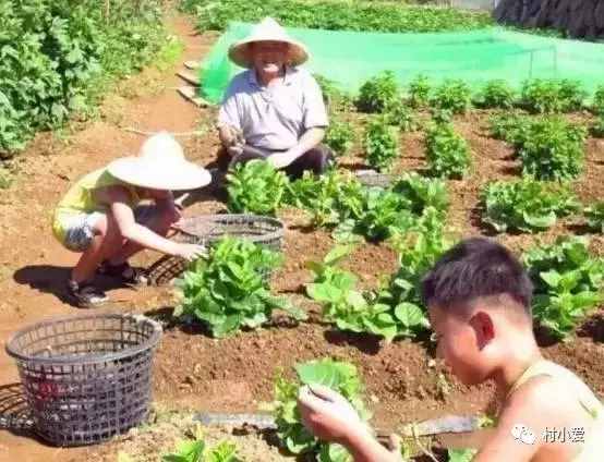 台湾的“神奇桀克生态农庄”