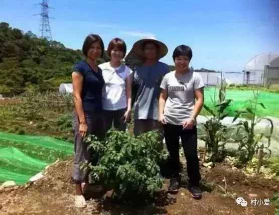 台湾的“神奇桀克生态农庄”