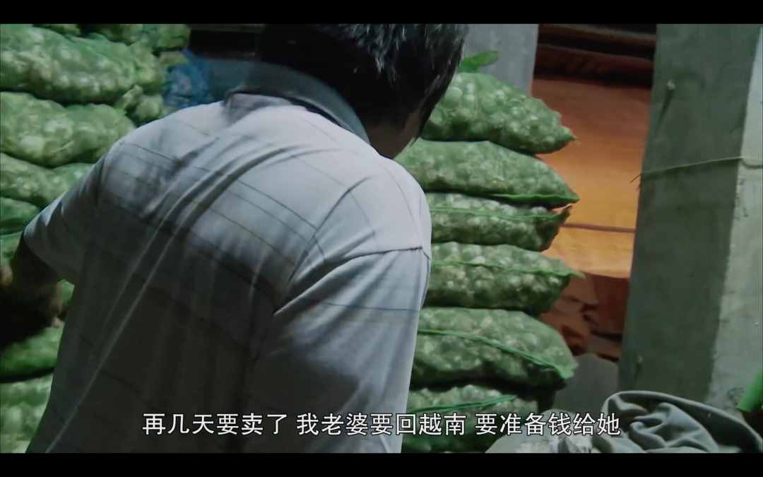 揭开越南新娘灰色产业链：20万，保证女孩贞洁，跑一个，赔一个