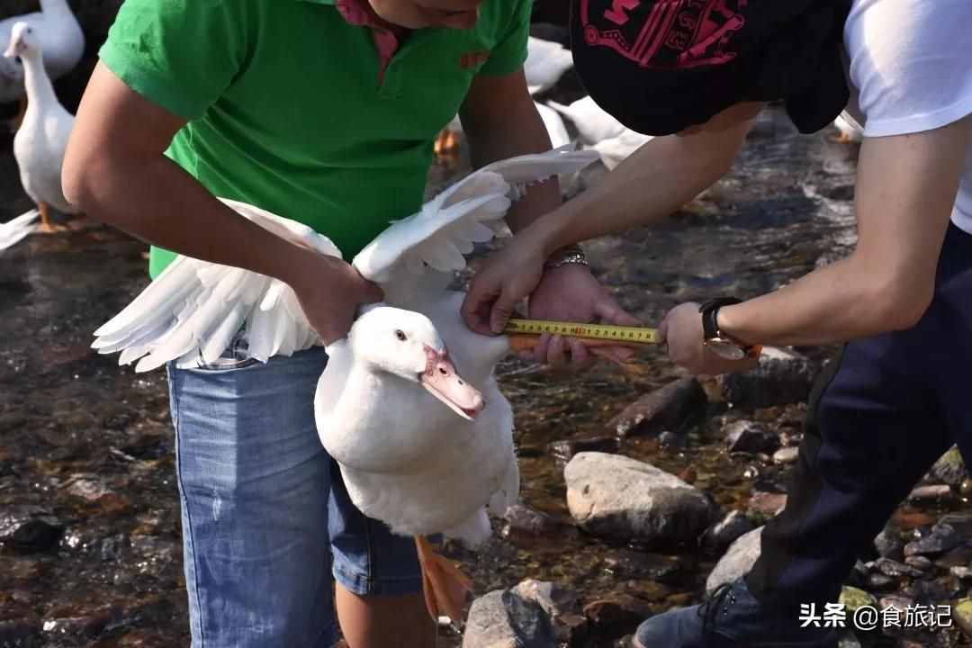 日销万单，咬一口头皮发麻，香爽脆辣，皮脆鸭掌吃过都爱上