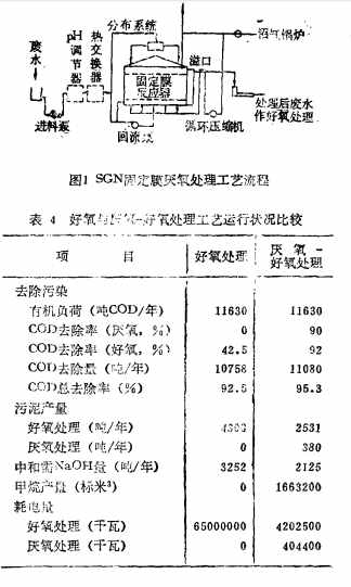 国外化工废水厌氧生物处理技术的新进展