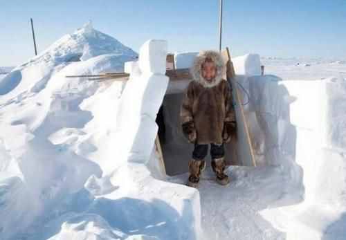 北极唯一的居民因纽特人，为何独爱住冰屋？进屋后才明白