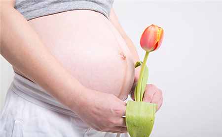 到了怀孕晚期，胎动到底有着怎样的规律？