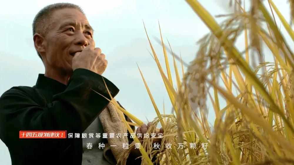 “中国蓝图”十九届五中全会精神宣传系列短视频展播——《大事小事》