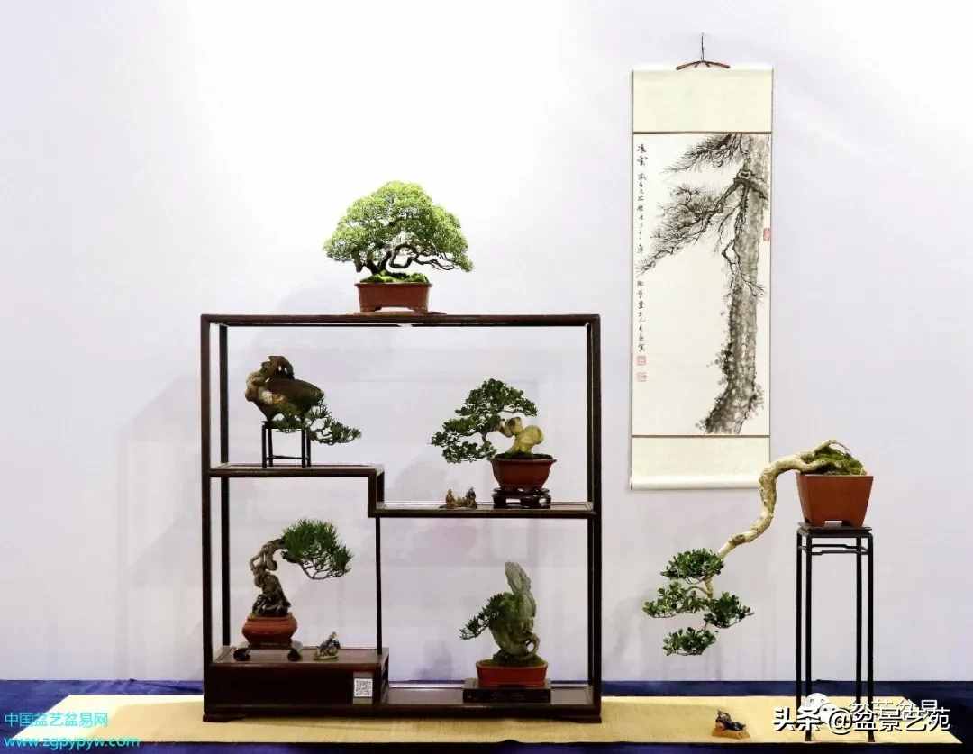 中国（如皋）花木盆景艺术节金奖作品欣赏