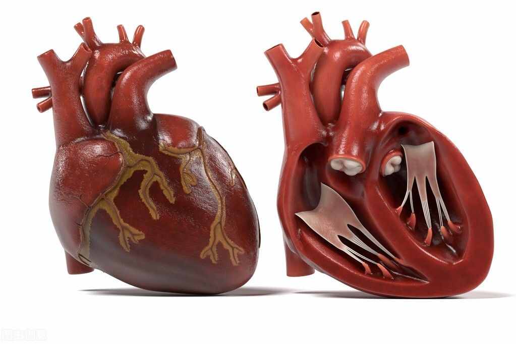 心脏不舒服，是心电图好？还是心脏彩超好？心血管专家权威建议