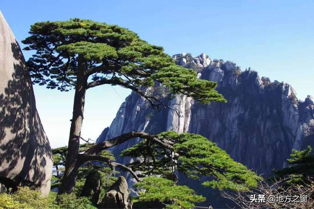 都是5A级景区，黄山的门票，为什么比泰山贵？