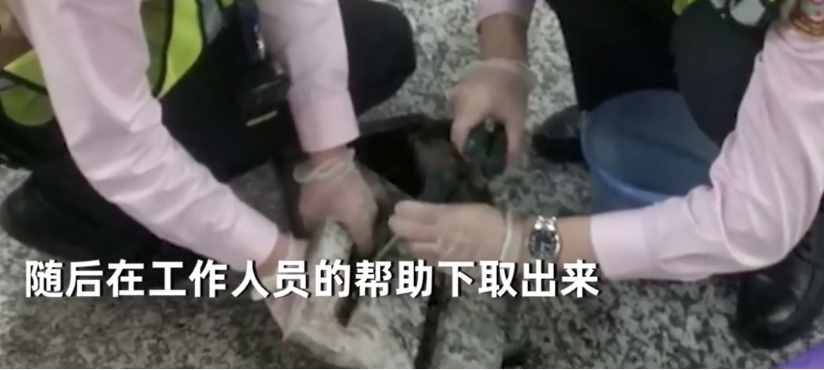 上海一女子行李箱被卡地铁下水道盖板，工作人员好心帮忙反遭索赔，女子：赔我个新的
