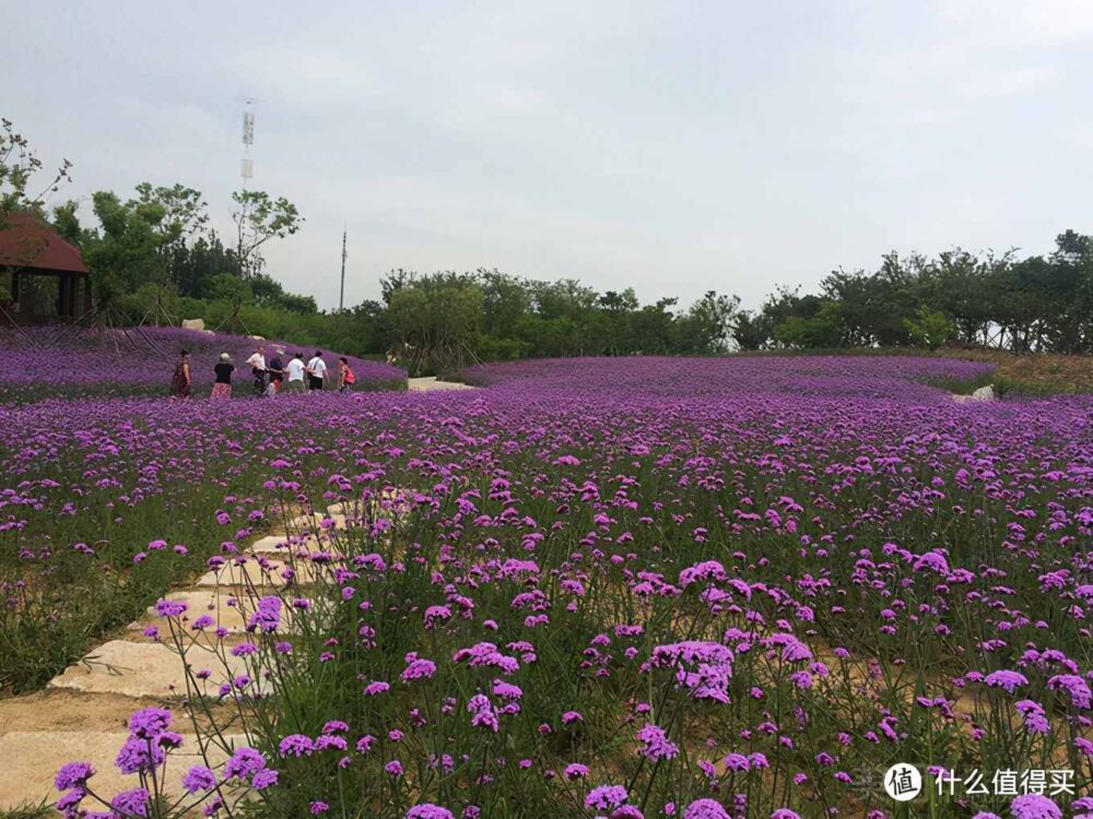 五一青岛四日游全攻略（吃住玩一条龙）