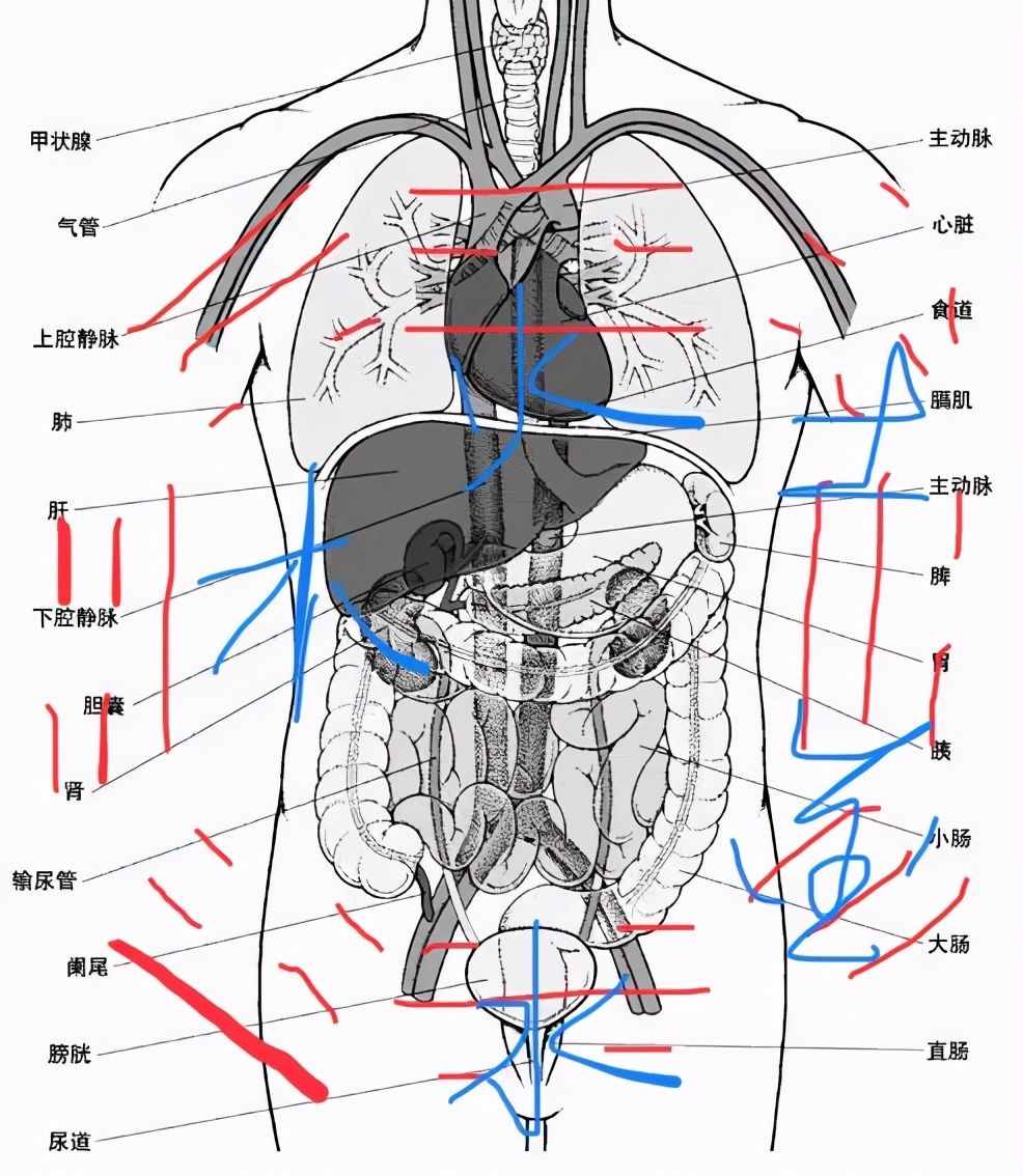 为《周易》把脉、给“阴阳”点穴、抓“易”之根本，学易无难