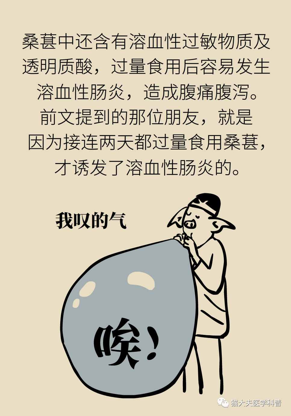 桑葚吃多了会引发溶血性肠炎？| 医学小漫画