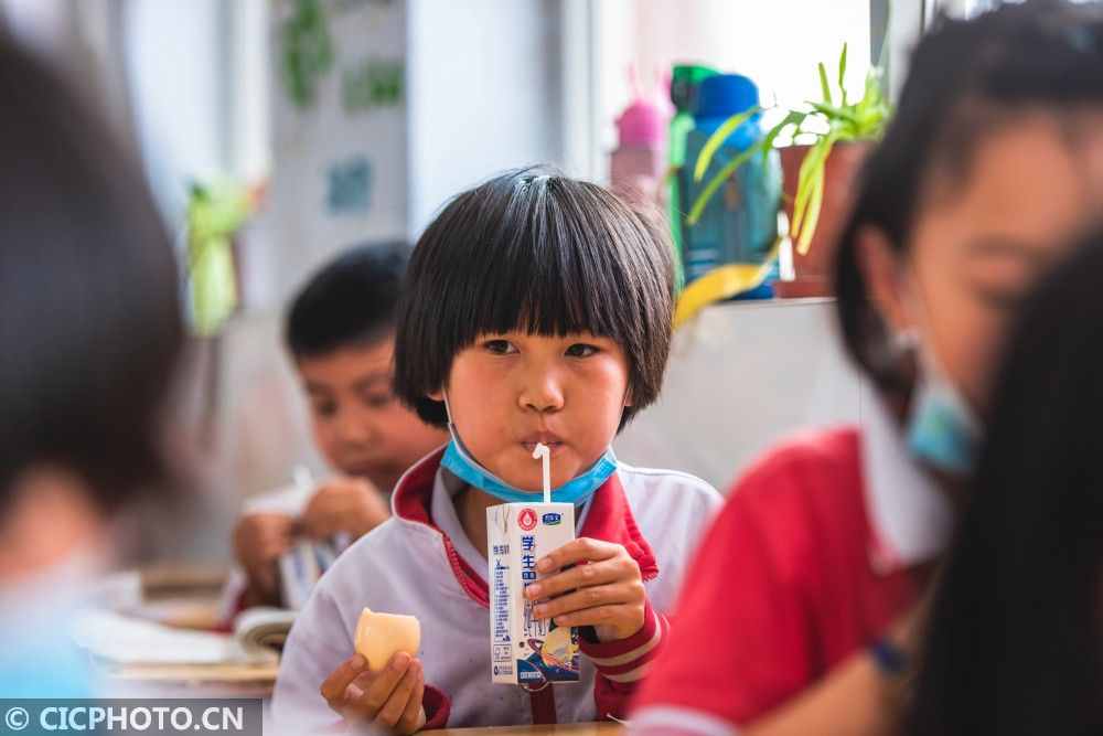 河北柏乡：学校营养餐，一个都不能少