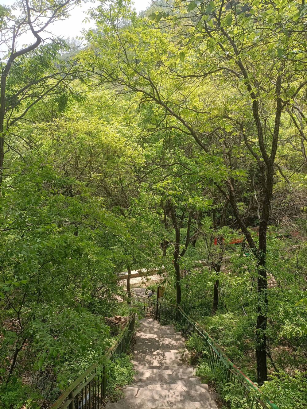 老象峰景区