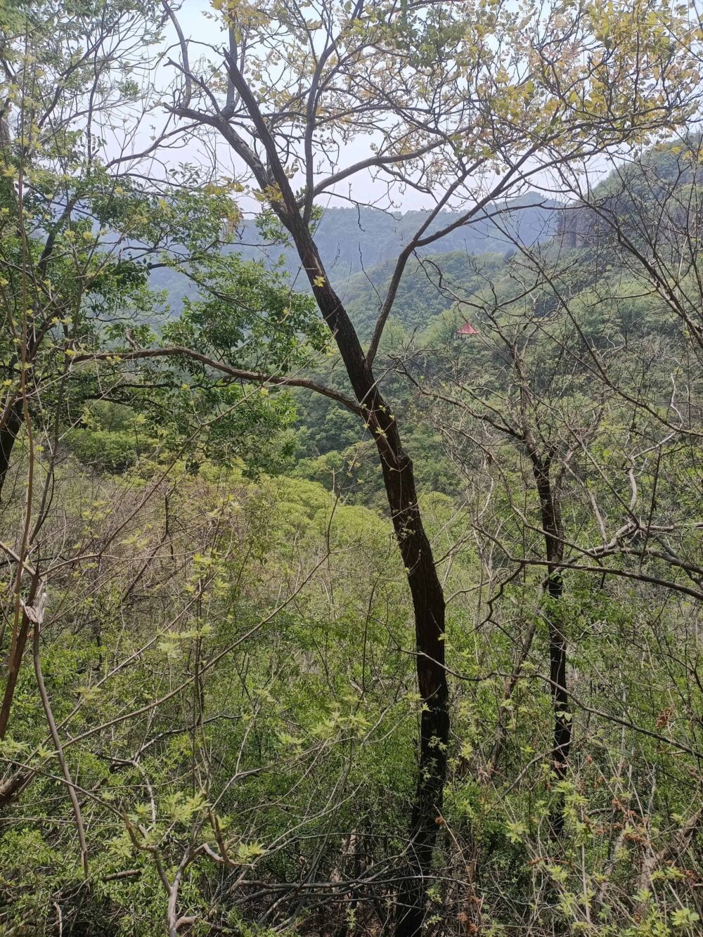 老象峰景区