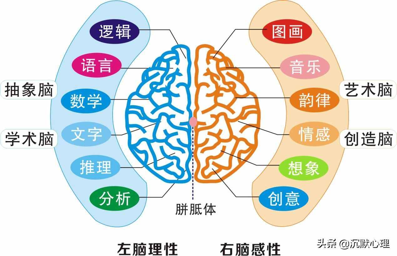 精神分析释梦系列：梦到蛇是什么意思？