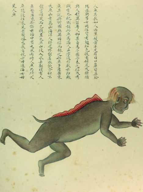 美人鱼传说:中国古代半人半鱼的“不明生物”