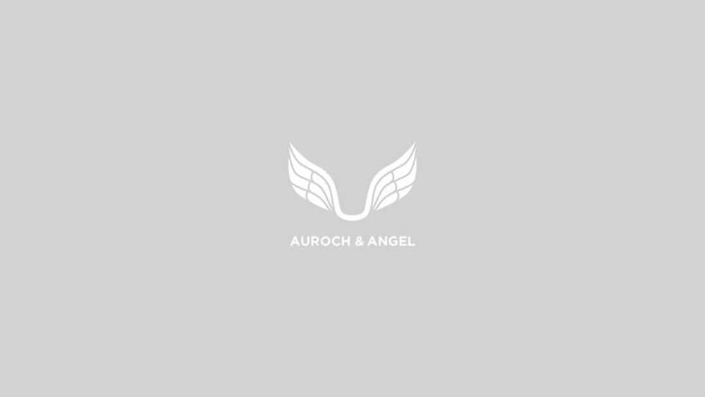 LOGO设计 | 天使的翅膀、天使主题创意LOGO设计欣赏