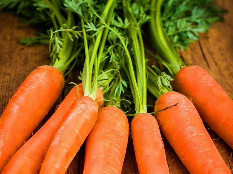 胡萝卜能减肥吗，里面什么成分帮助减肥？