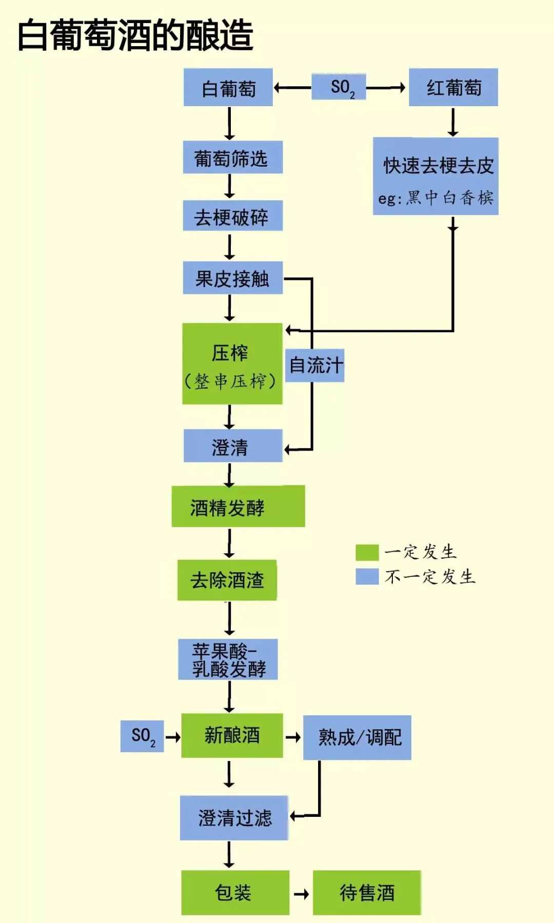 白葡萄酒是怎么酿出来的？