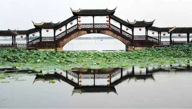 上海出发1小时直达，周庄8公里外藏着一座千年江南古镇，免费！