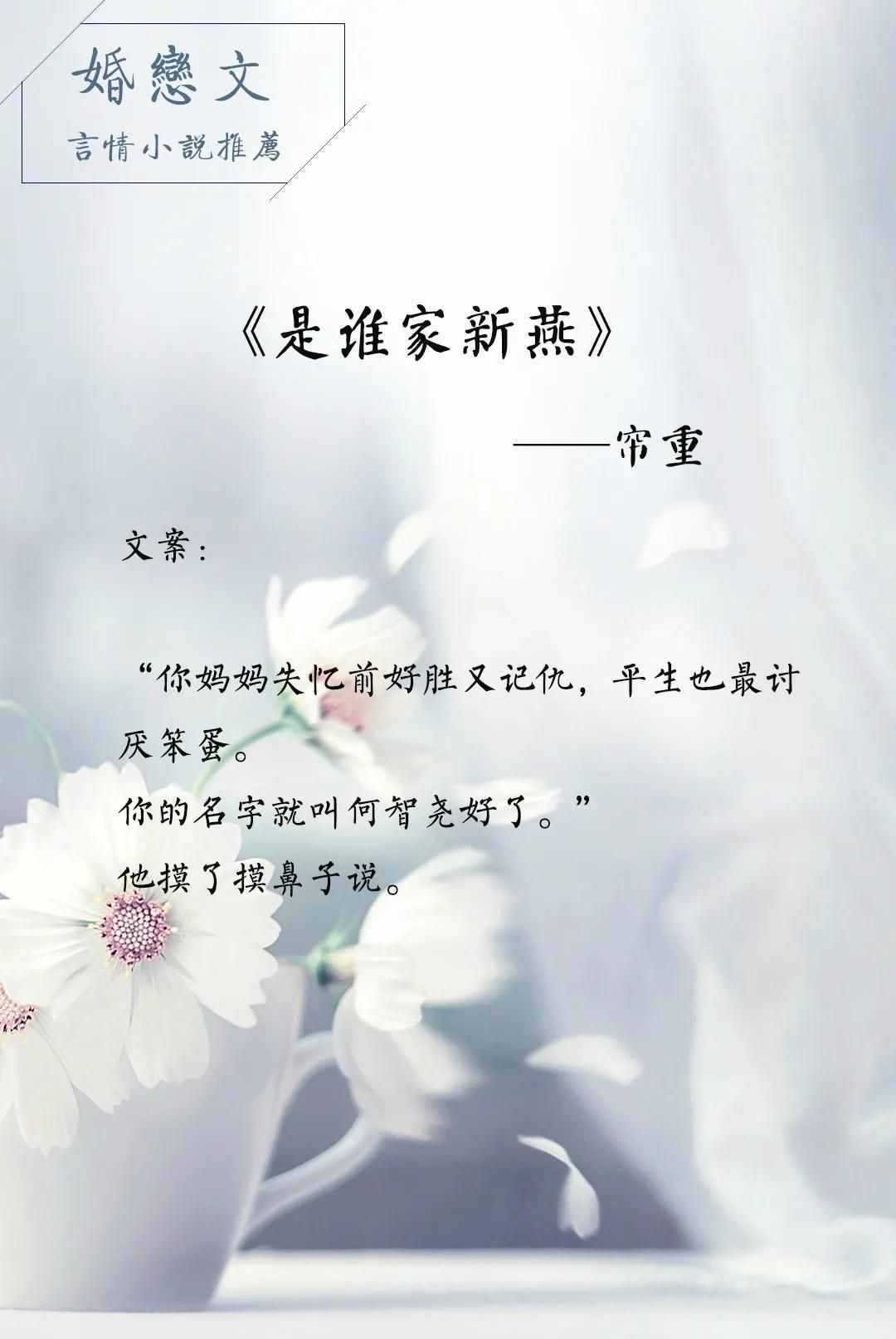 强推！先婚后爱婚恋系列文，《昏嫁》《甜妻》《过客，匆匆》赞