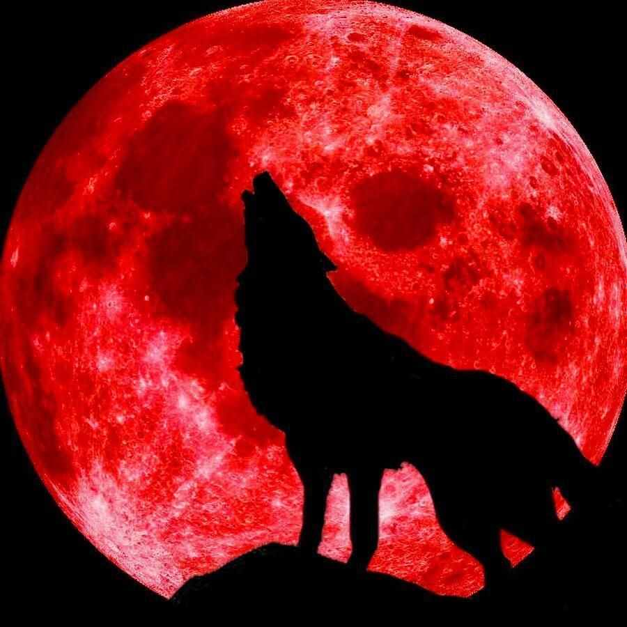 超级红月亮背后的传说——一个恐怖的隐喻，血月、死亡女神和狼人
