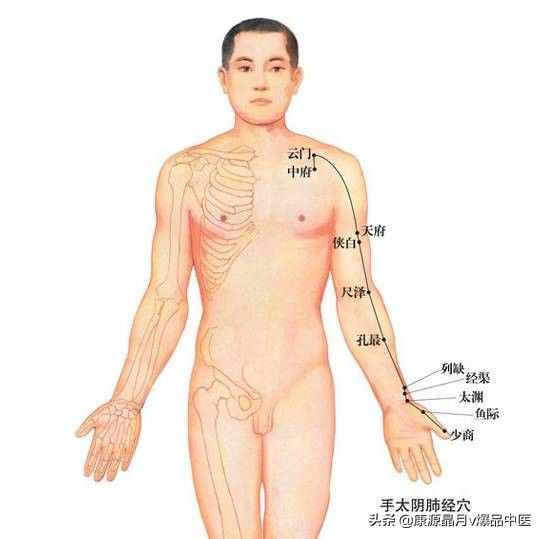 天下无疾：十二经脉循行要穴及各部常见病症总结