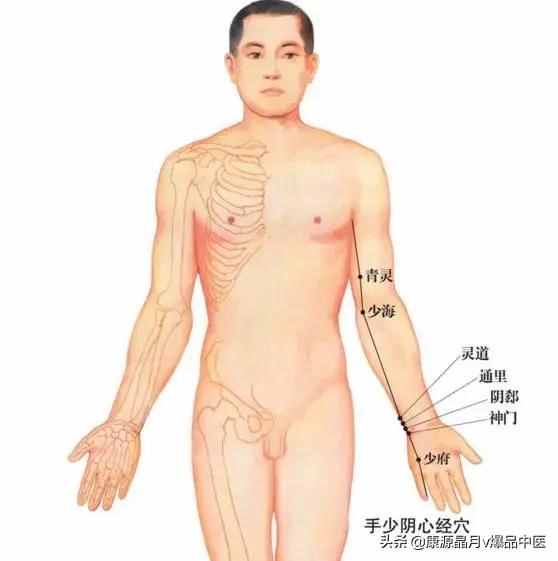 天下无疾：十二经脉循行要穴及各部常见病症总结