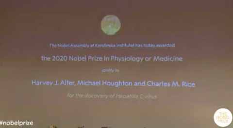 2020诺贝尔生理学或医学奖揭晓 三名科学家获奖