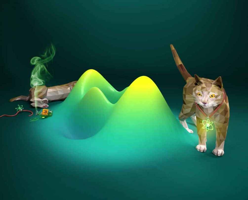 薛定谔的猫为何至今无解？意识导致波函数坍缩？什么是退相干历史