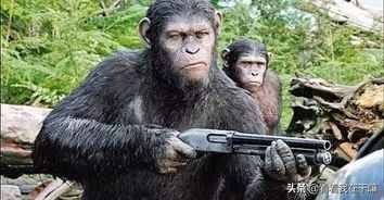 《猩球崛起》三部曲的细思极恐：当猿类进化成人，人类退化为猿
