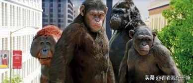 《猩球崛起》三部曲的细思极恐：当猿类进化成人，人类退化为猿