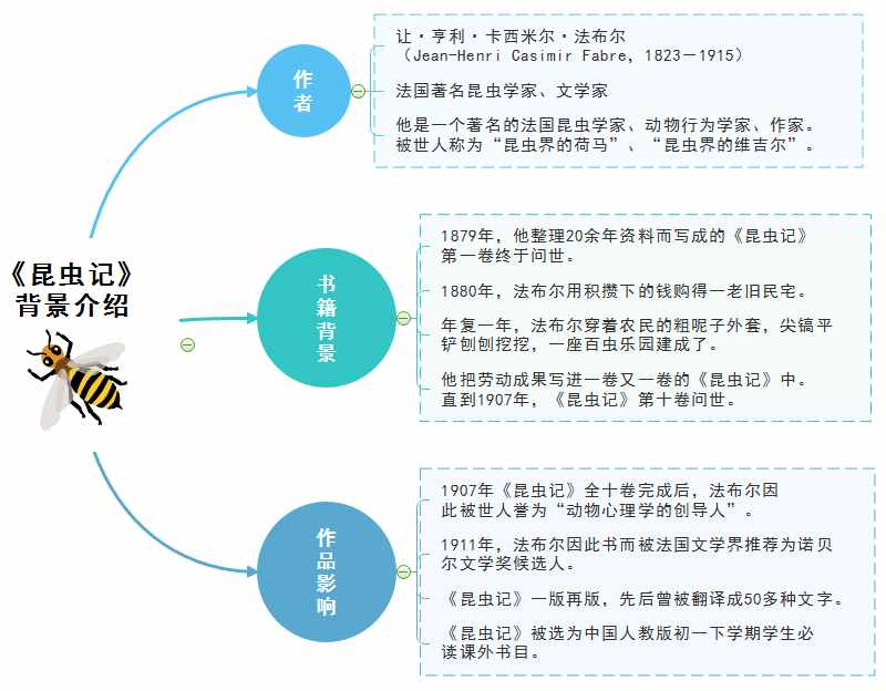 昆虫记的思维导图是怎样的