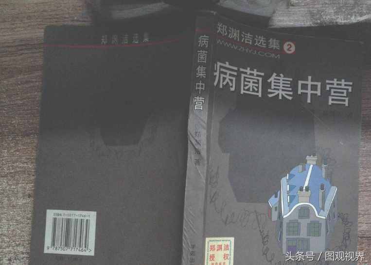 童话大王郑渊洁的10部经典作品一览，前三部很多人都看过