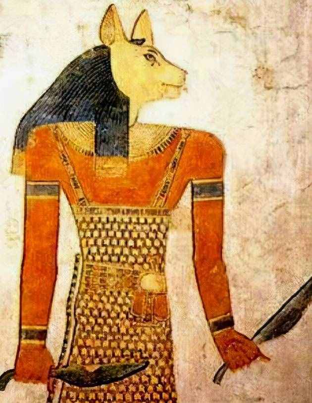 古埃及文明为何把猫当圣物？