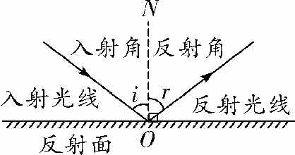 初中物理，光学考点汇总（一）