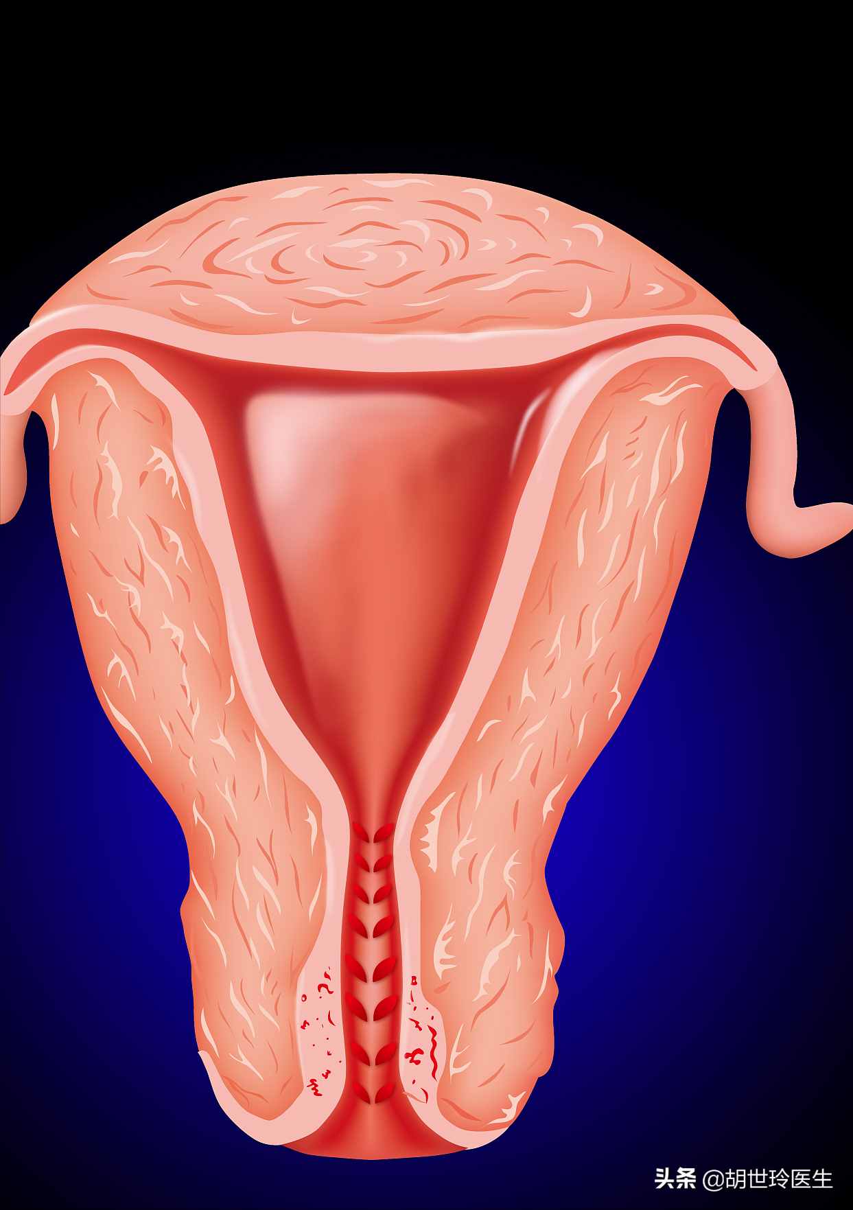 子宫内膜厚度多少最容易受孕？