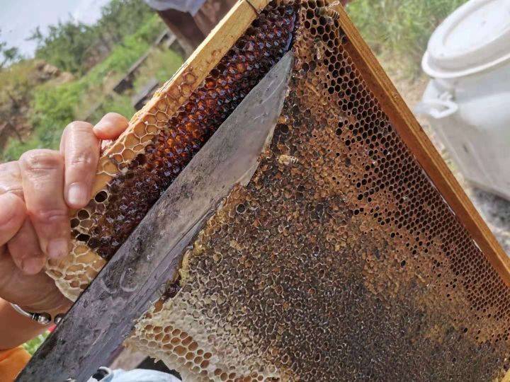 （原蜜）天然蜂蜜的四大特点？